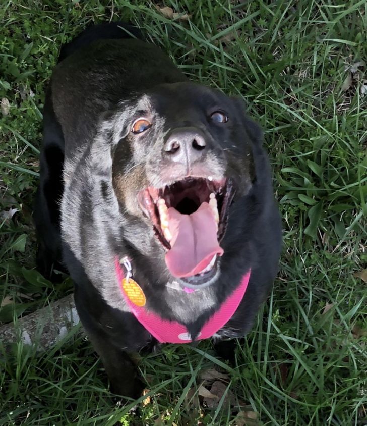 ffb128517e836c59e45ea1f8b3