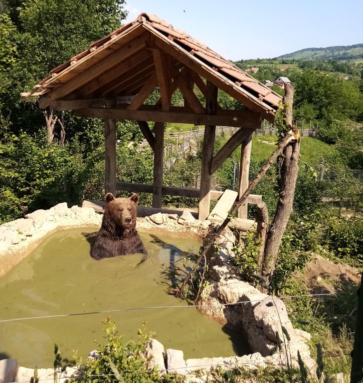 ffb4e355ed95e56dab8ebd047b