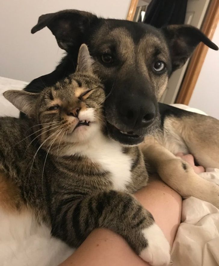 ffb5315944aed0e38d837c990f