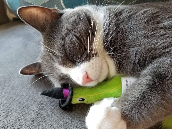 ffb56e561b9c3422d4272b0a27