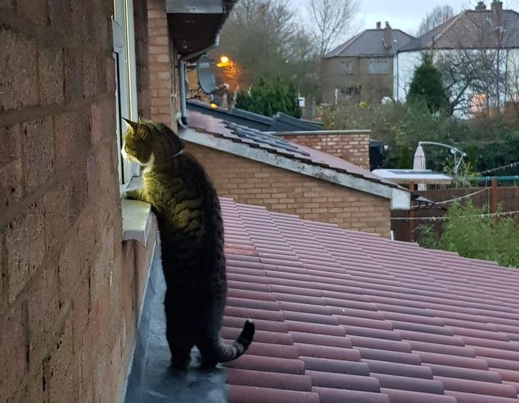 ffbdbb5fa1bf1662c78518943a