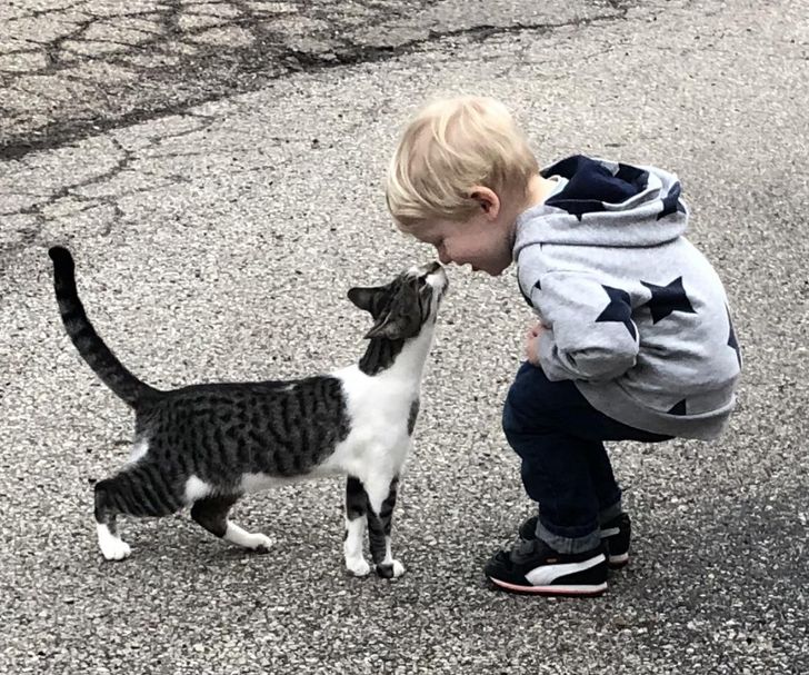 ffcb1452aa9e9405f2b67a168e