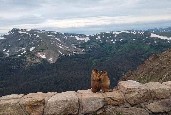 ffd23c5db0b520019dbc242e9f