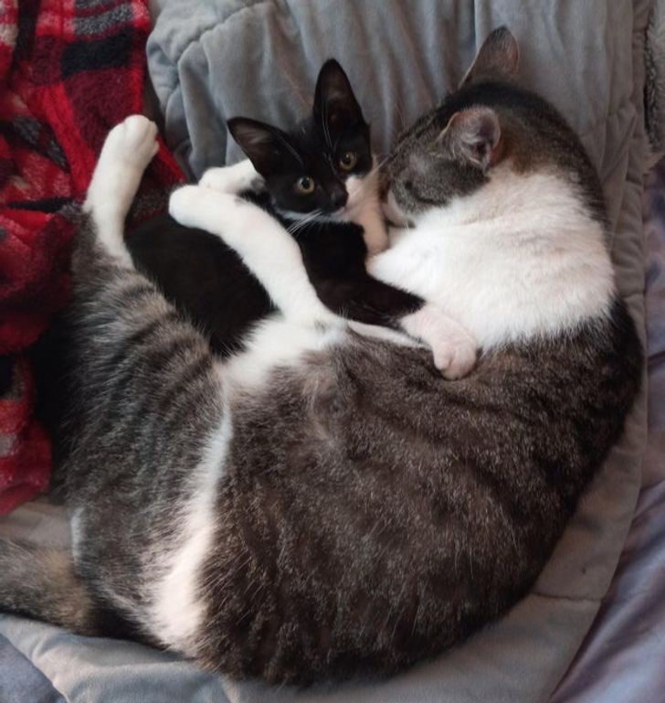 ffd25759aaa5f4cd2011e0420f ffd25759aaa5f4cd2011e0420f