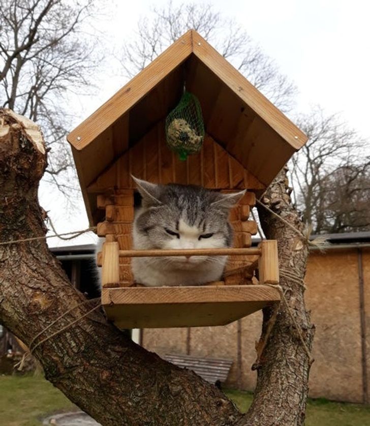 ffdaf151d18249e3c22fdc588b