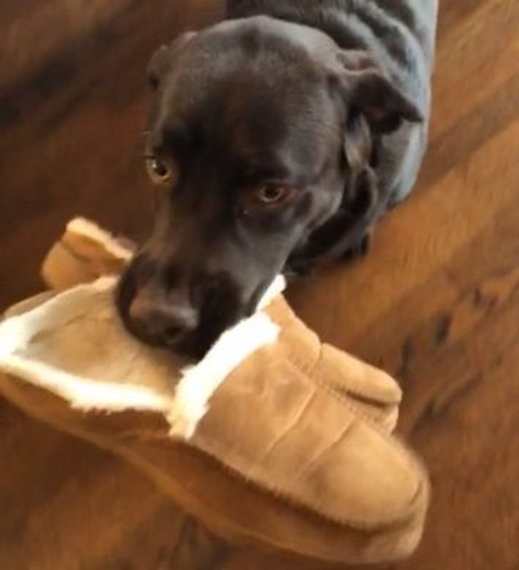 ffdcb85cac975c82fbfd176395 ffdcb85cac975c82fbfd176395