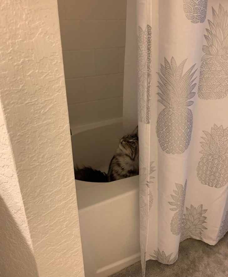 ffdcc359e1a09f1cebfbe13f90