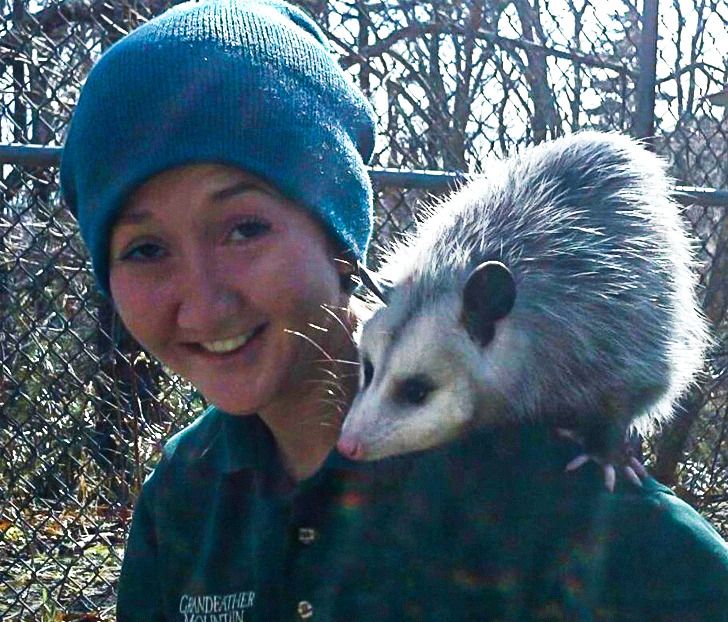 ffddfb57ed83619ad56d9b620a