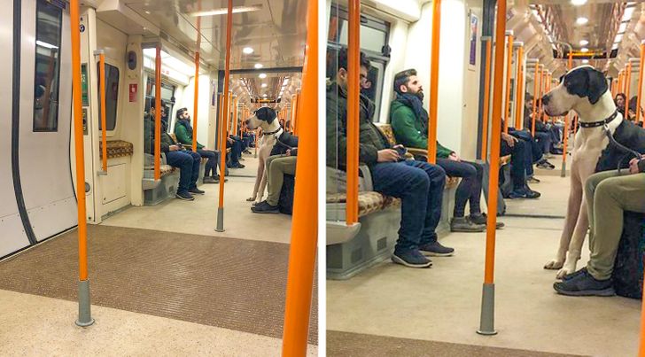 ffe6f25894a3955fa21e2f25aa