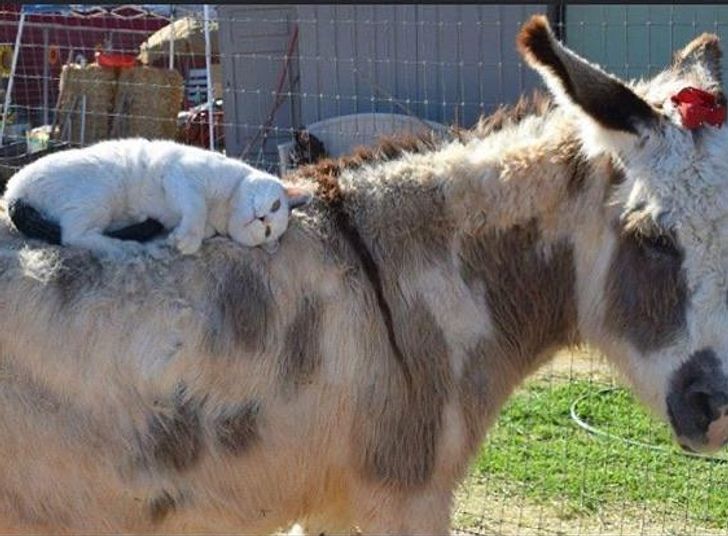 ffec3e579d8b6e7ffbe07fc873