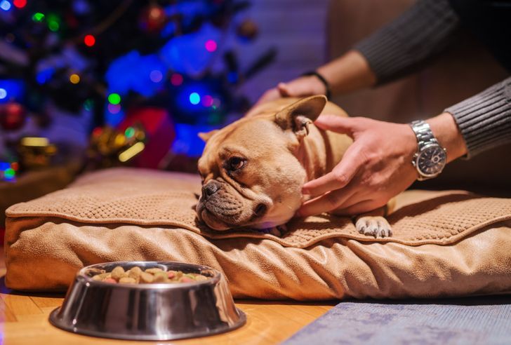 fff8485bb2a97d6249426ff4a0