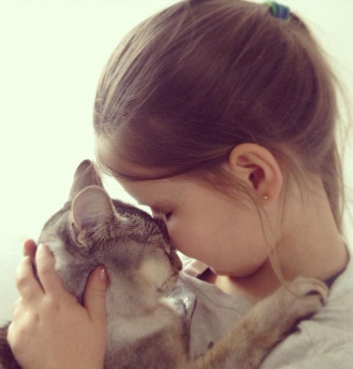 fff8fc517a8449f0055b7344fc