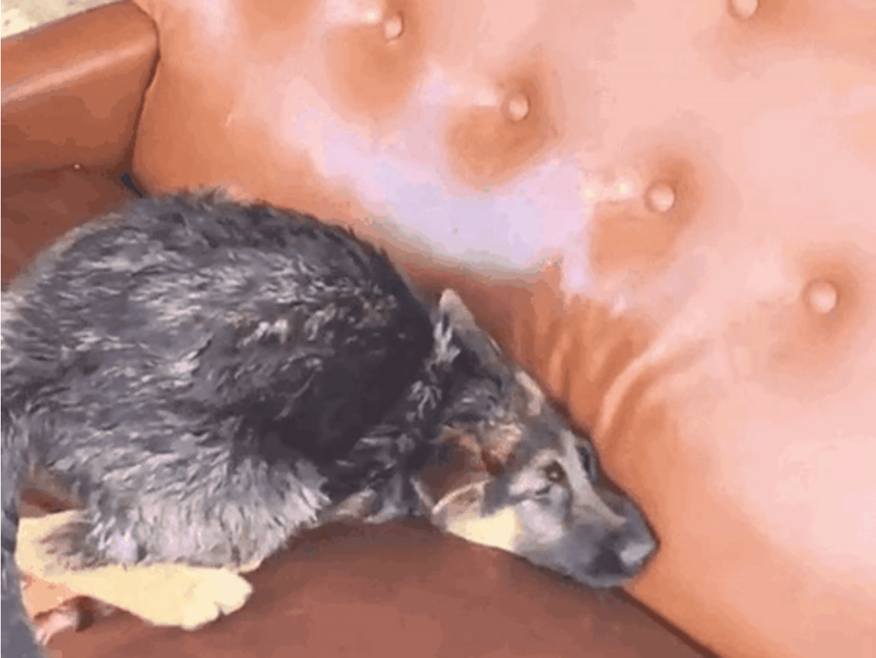 5c3b3e34caed03d964e8579241ea9366