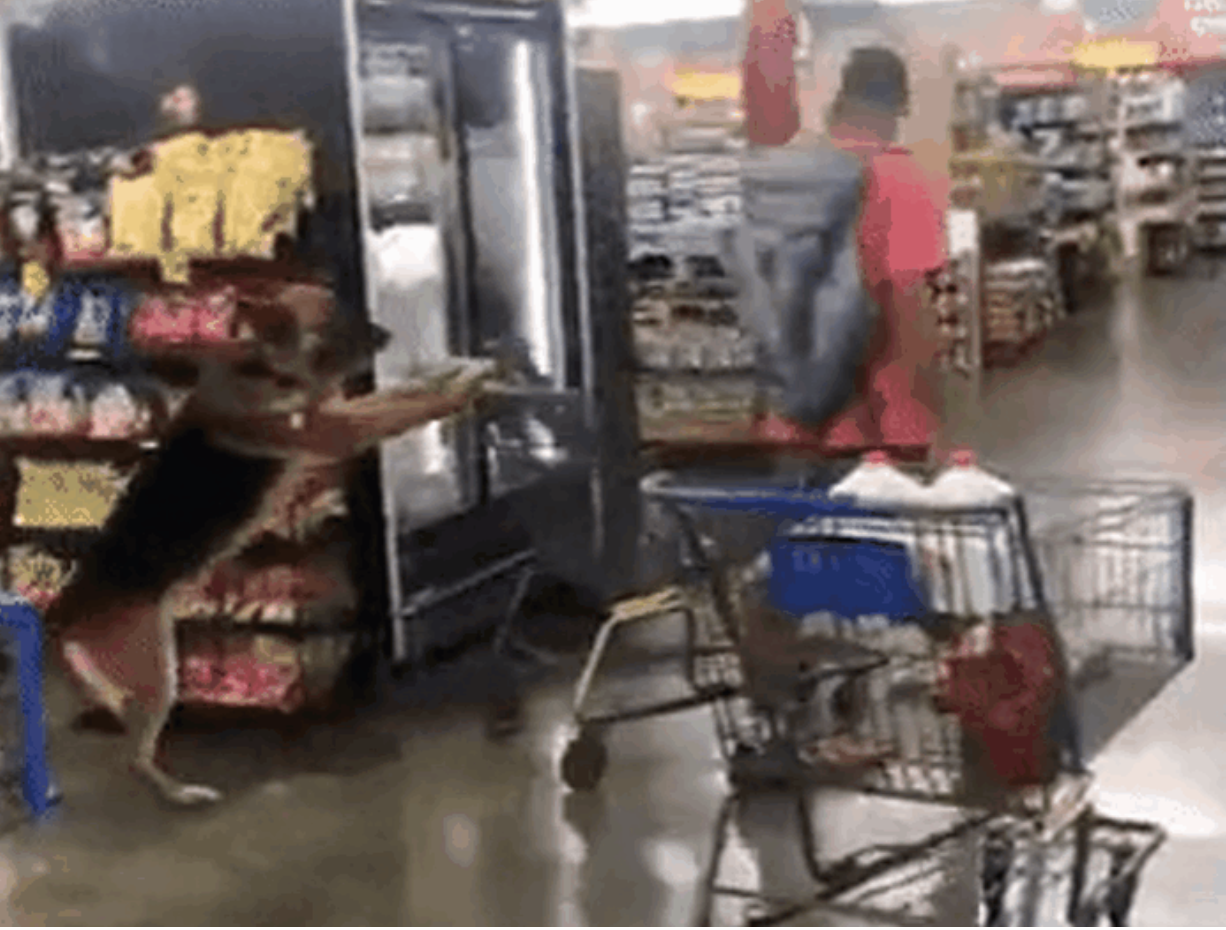 f3d01f8bfd60fce9571a3de850af97ef