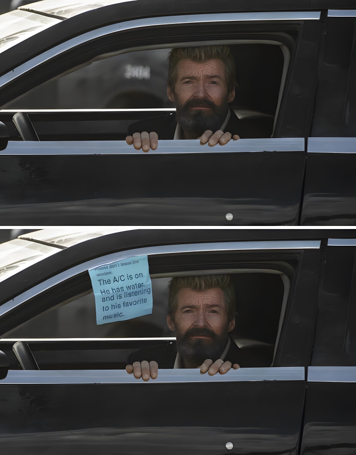 DqJ0SShDcTlF4lCu DqJ0SShDcTlF4lCu