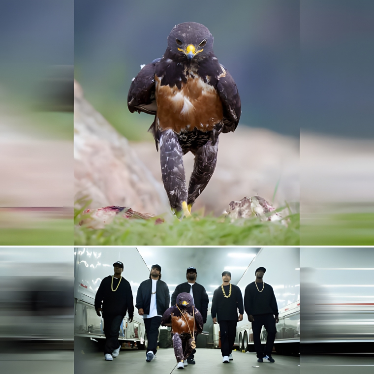 VtFg0vywGPCjNFLg VtFg0vywGPCjNFLg