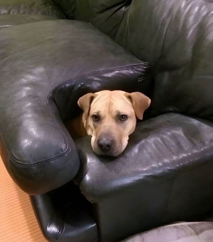 image-10EfZfD8eFZLH9ah