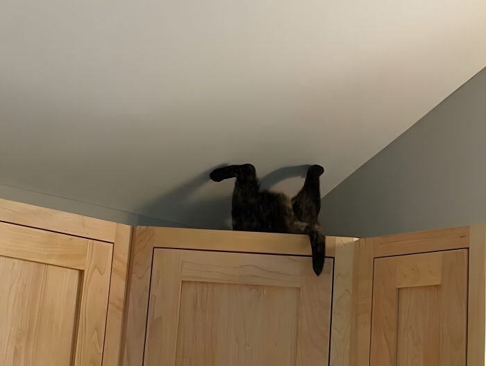 image-2PF3AVFIdoHrVMO0 image-2PF3AVFIdoHrVMO0