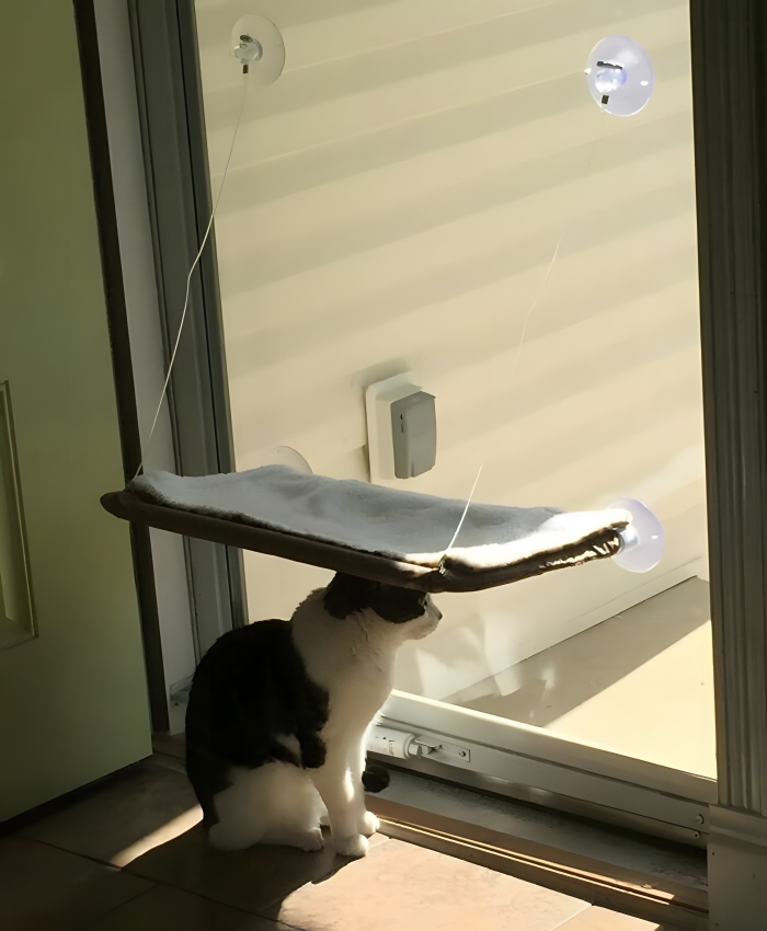 image-6kp6ipgaQWuhKYNo image-6kp6ipgaQWuhKYNo