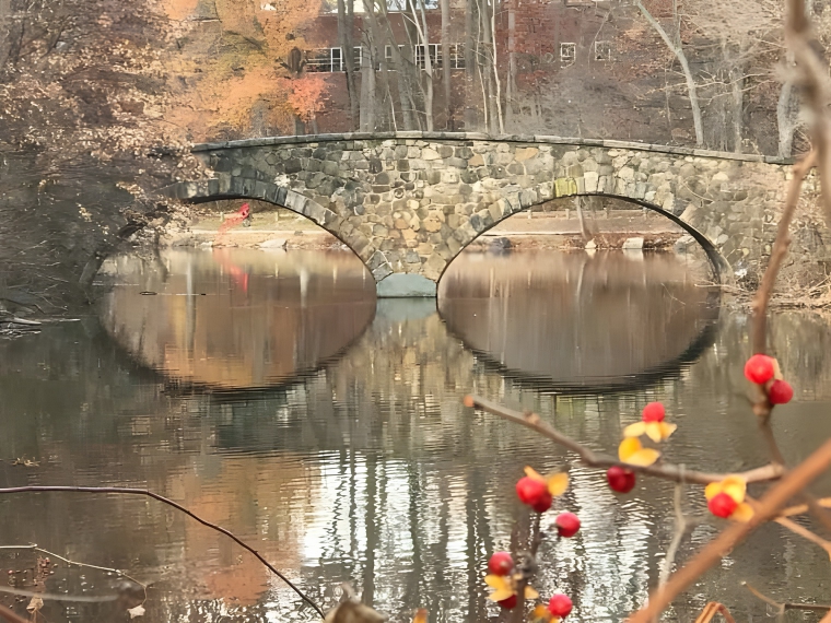 image-93b53TDKKaGEUBPE