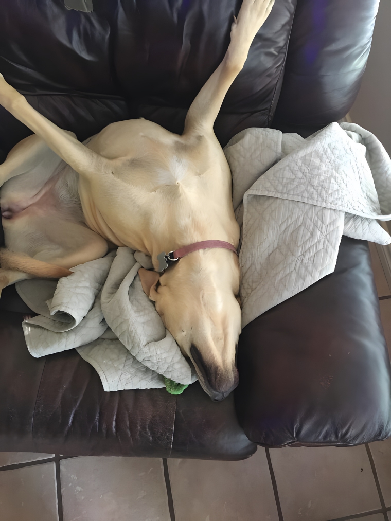 image-ABmTx3V8NXe1jj4R