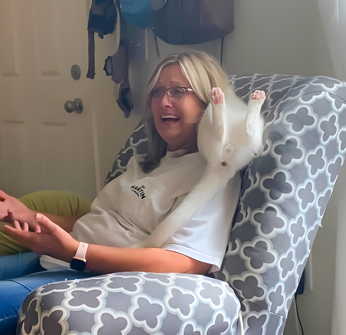 image-AWpFjyIhrUyswr49 image-AWpFjyIhrUyswr49