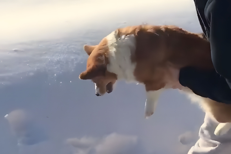 image-BEAi4pK2KNKvN1Ot