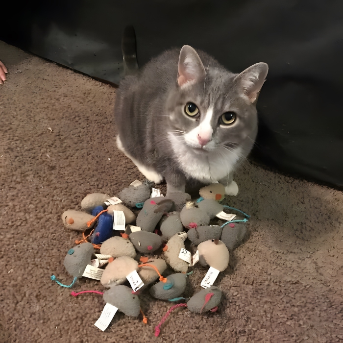 image-By5FzRZ5qEnP4TDY image-By5FzRZ5qEnP4TDY