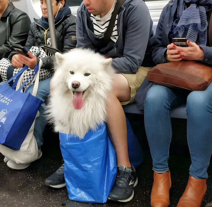 image-DMep6PeJkMRPnXb7