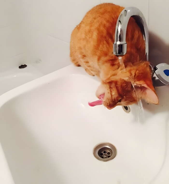 image-GItXgCaOUJ9oZxnH image-GItXgCaOUJ9oZxnH