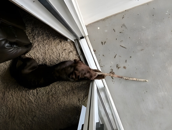 image-GVjKfjDEtiTrjhnZ