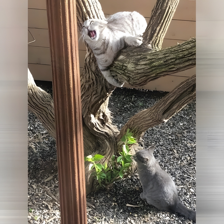 image-HRWsTI9NZbidfhNZ image-HRWsTI9NZbidfhNZ