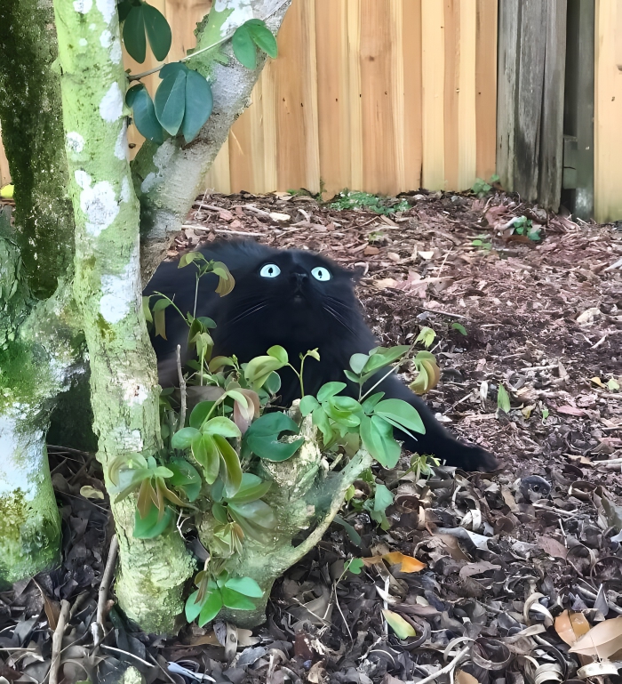 image-KGFcqfuXbmLnHpTj image-KGFcqfuXbmLnHpTj