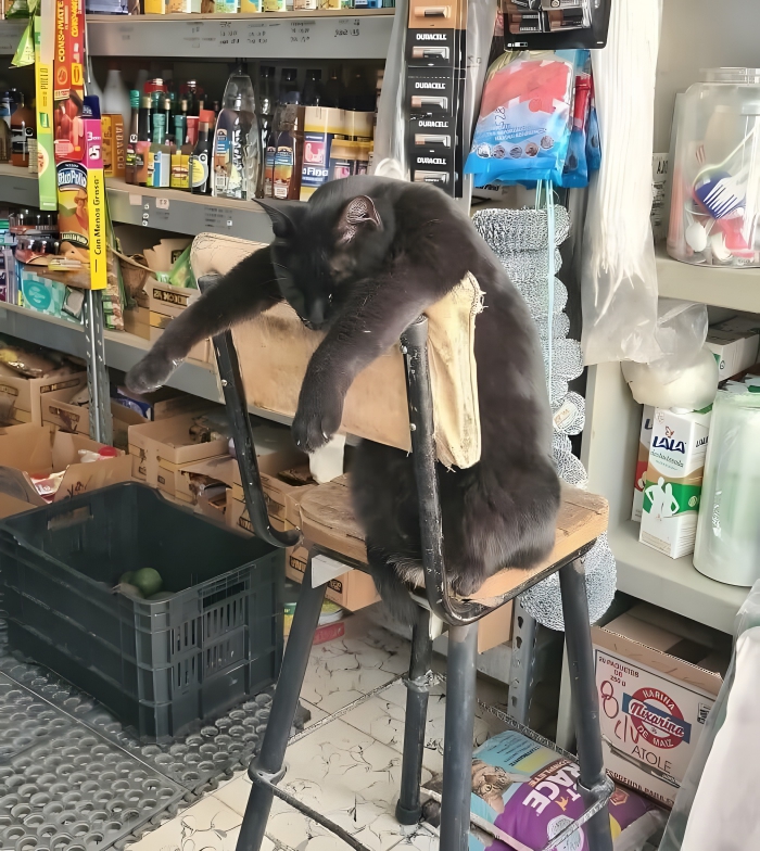 image-LajhPdmkMfzBlqoZ image-LajhPdmkMfzBlqoZ