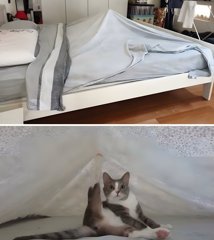 image-O7Mxzh7L1y3pQ0cW image-O7Mxzh7L1y3pQ0cW