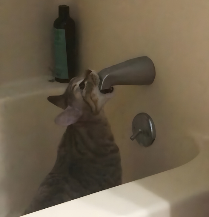 image-OGtDgKqCJsA7desO image-OGtDgKqCJsA7desO