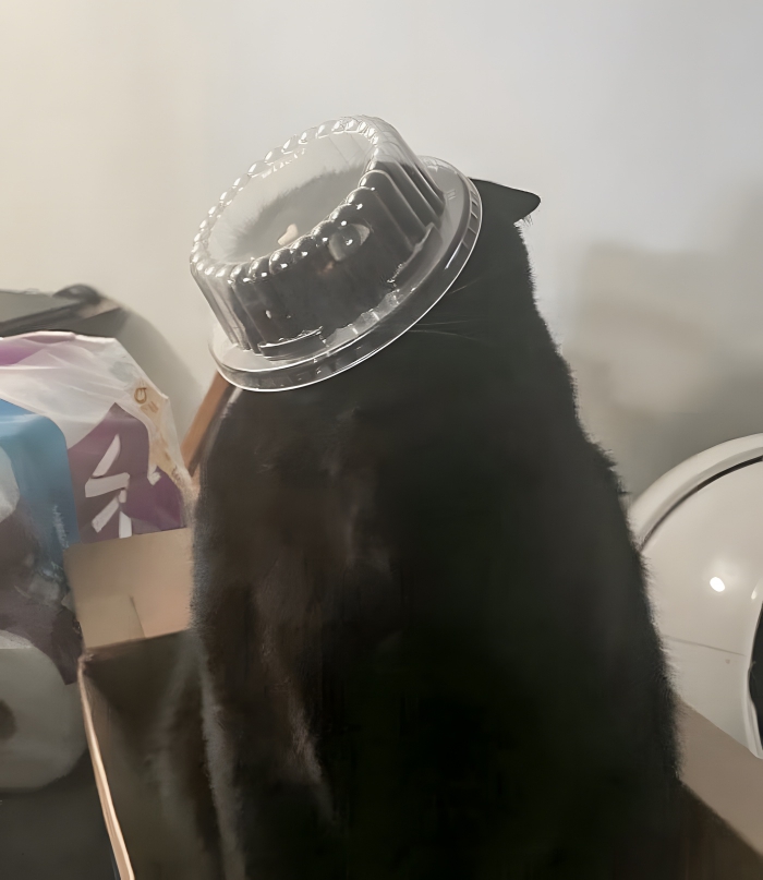 image-WC9pcMxNa0KcnHIu image-WC9pcMxNa0KcnHIu