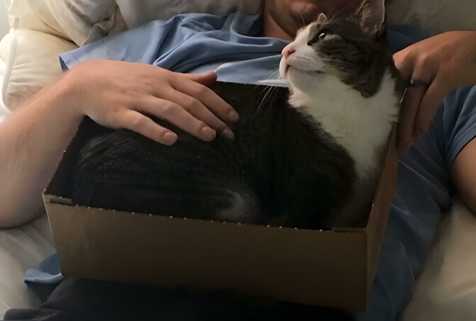 image-a989fHDJA3Pz4JfB