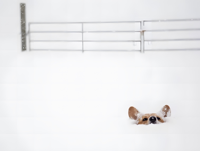 image-dbeG2us5yjmddn0X