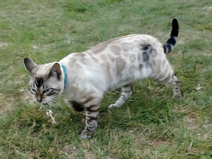 image-fxKKQHPL6zPHmfwm image-fxKKQHPL6zPHmfwm