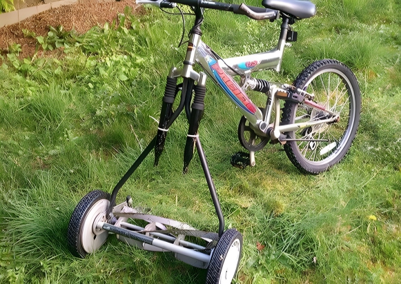 image-g3CK18PnegXIGL9T