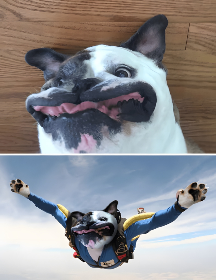 image-gEtTR2YGD7Ka5ZOF image-gEtTR2YGD7Ka5ZOF