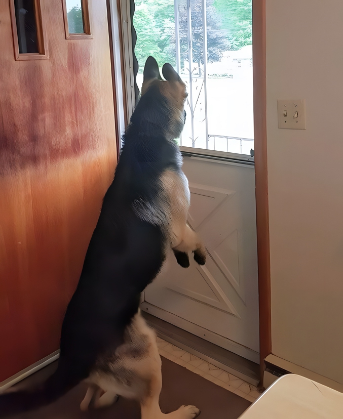 image-iSbyIywlTxpi4ko1