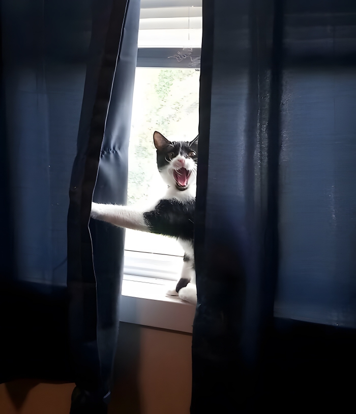 image-iZA65vbwYL1lL3Qd image-iZA65vbwYL1lL3Qd