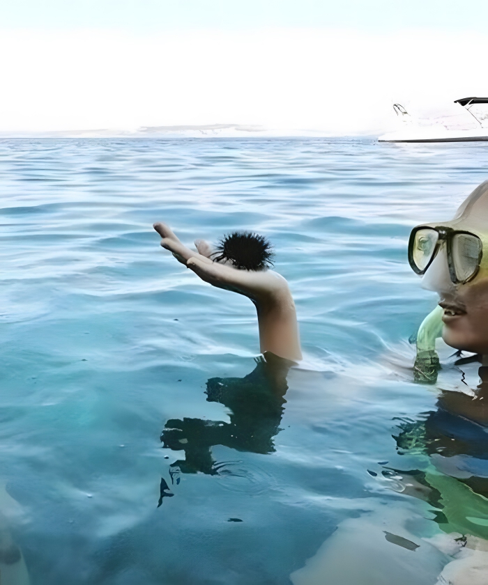 image-jJBBvxyffaA0Dft6