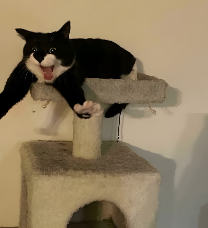 image-lsUqNTHVhV5RS65v image-lsUqNTHVhV5RS65v