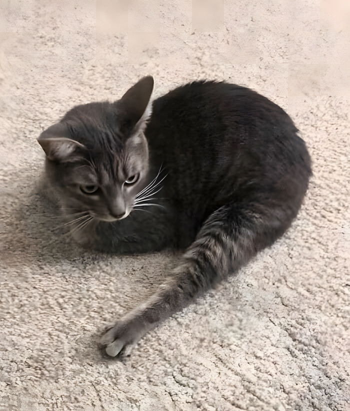 image-njqtokC4t90dJ2o9 image-njqtokC4t90dJ2o9