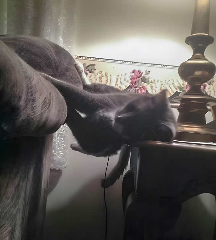 image-v61zFEH9S605E0MA image-v61zFEH9S605E0MA