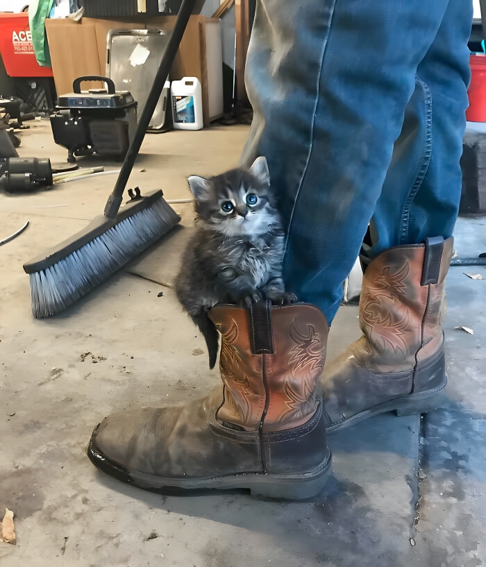 image-xqnQnn3fUHIIsyLH image-xqnQnn3fUHIIsyLH