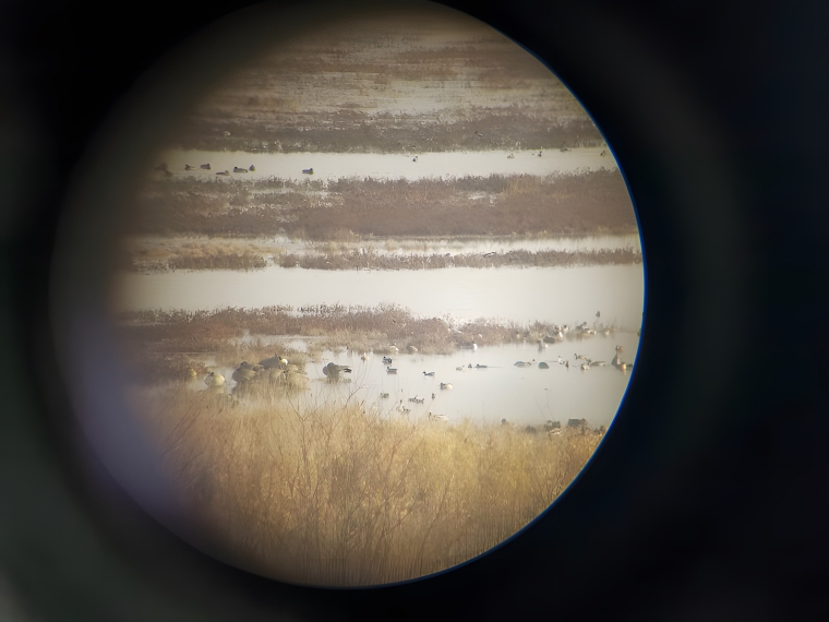 image-ygUZiOfAbbOjIn7x